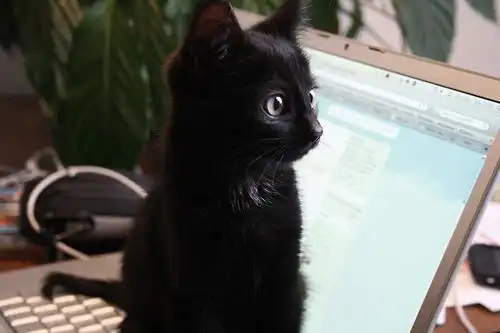 Paper Towel Roll Pack