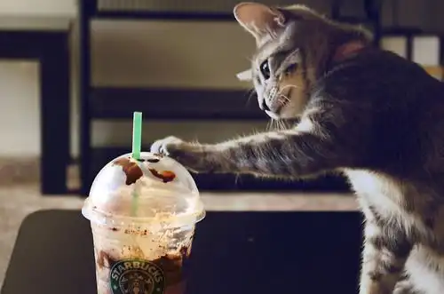 Salt and Pepper Grinders