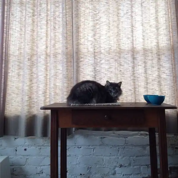 Electric Wine Opener