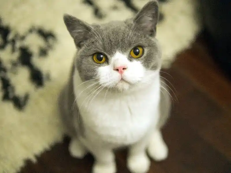 Mini Garden Tool Set