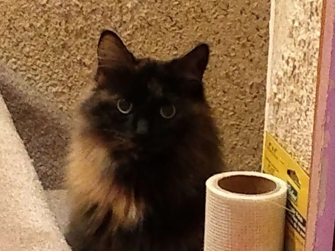 Wooden Picture Frame