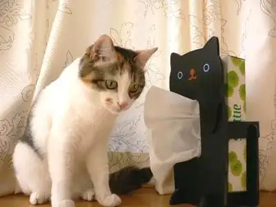 Extended Gaming Mouse Pad