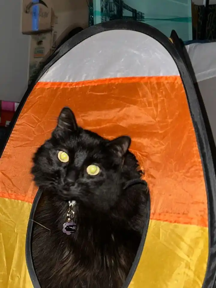 Stainless Steel Trash Can