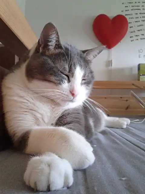 Minimalist Leather Wallet