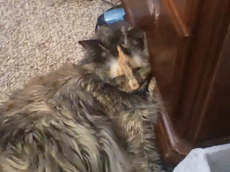 Stainless Steel Funnel