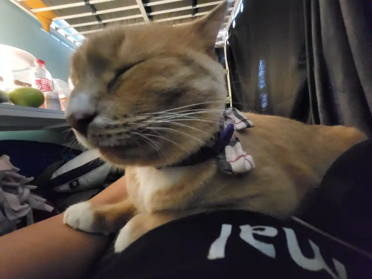 Polarized Sunglasses