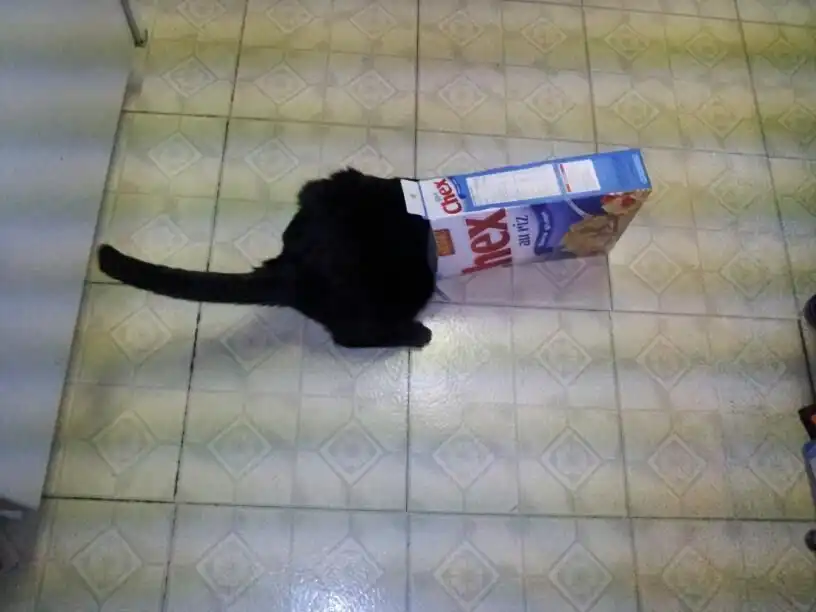 Home Repair Tool Kit