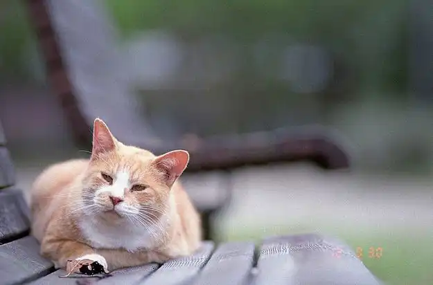 Flexible Cutting Mats