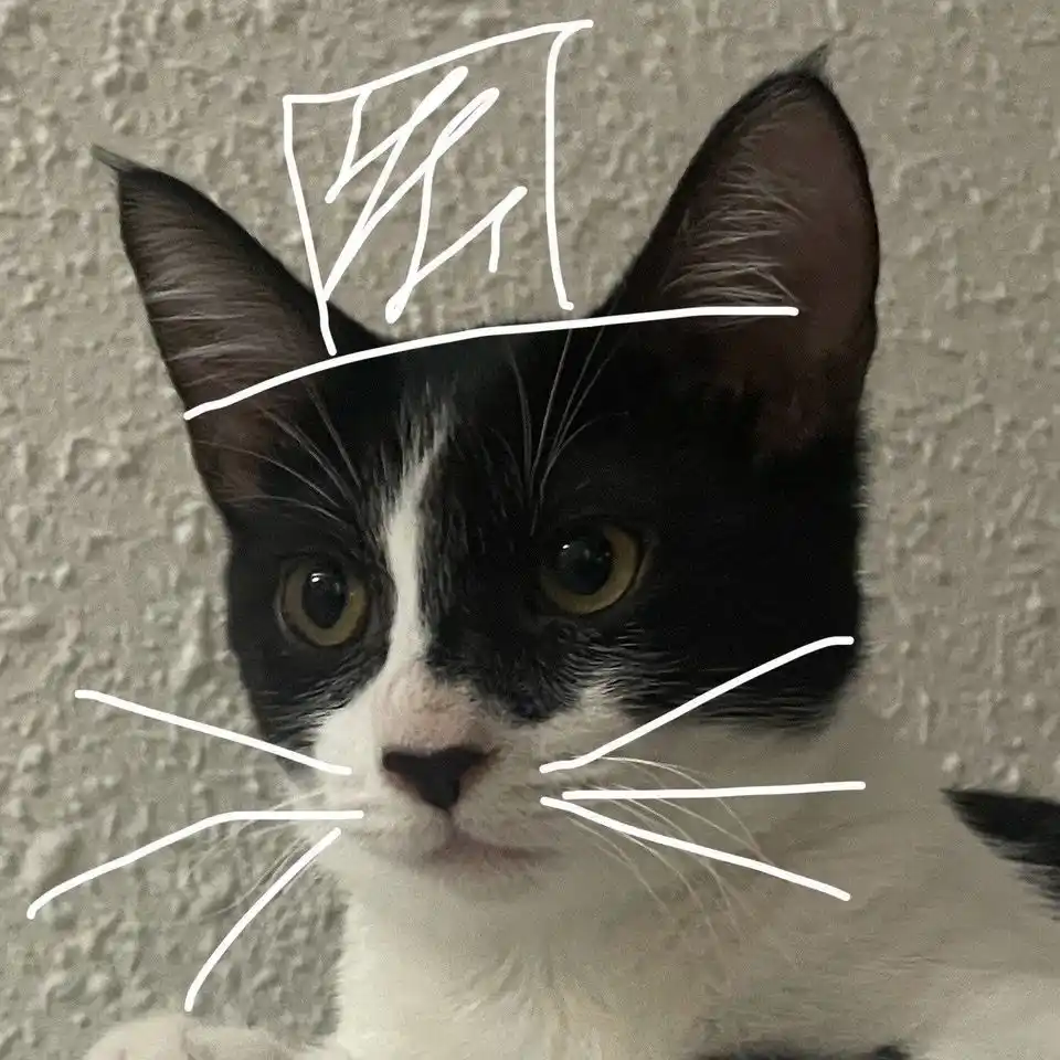 Mechanical Gaming Keyboard